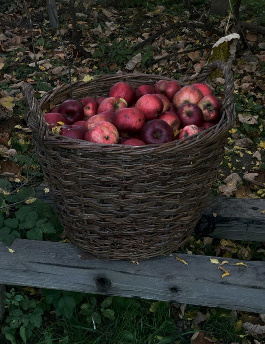 Autumn Scented Candle