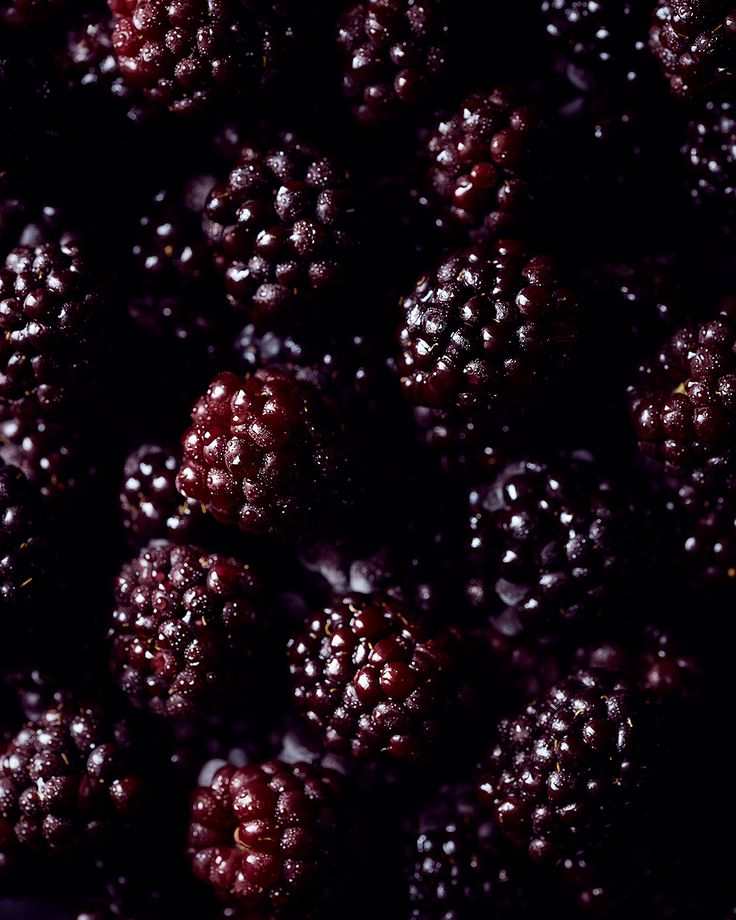 Bramble & Bay Scented Candle