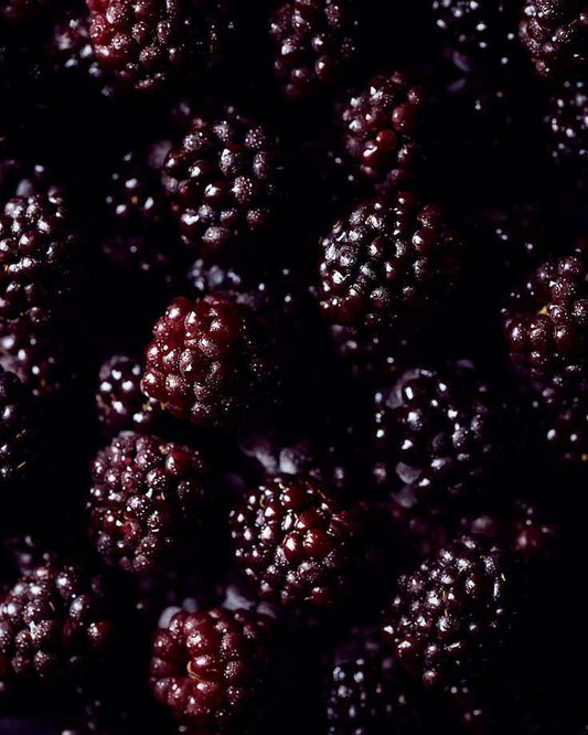 Bramble & Bay Scented Candle